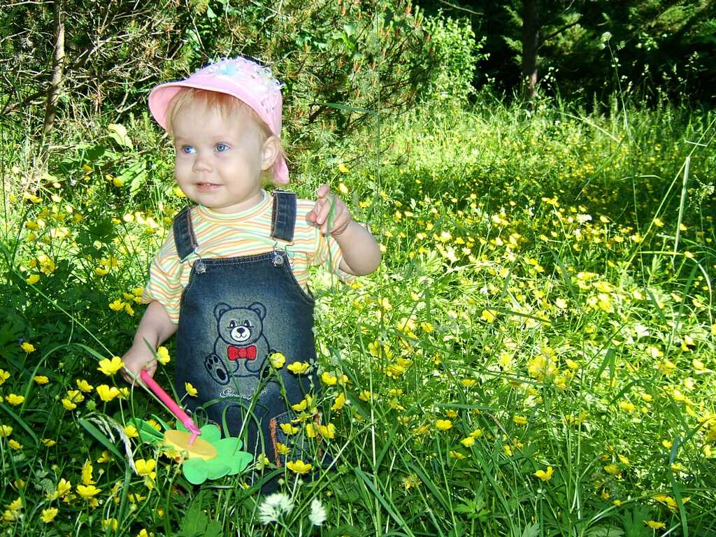 Yellow flowers are nice