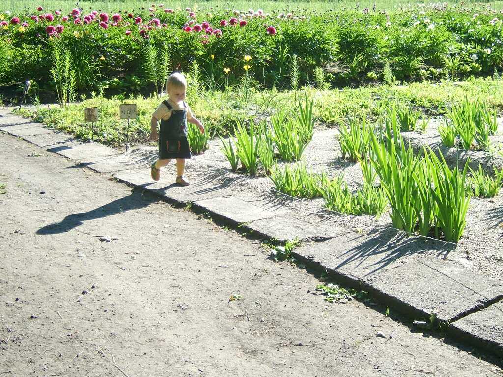 Runaway Milana