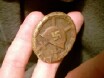 Macro of medal