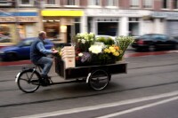Flower man