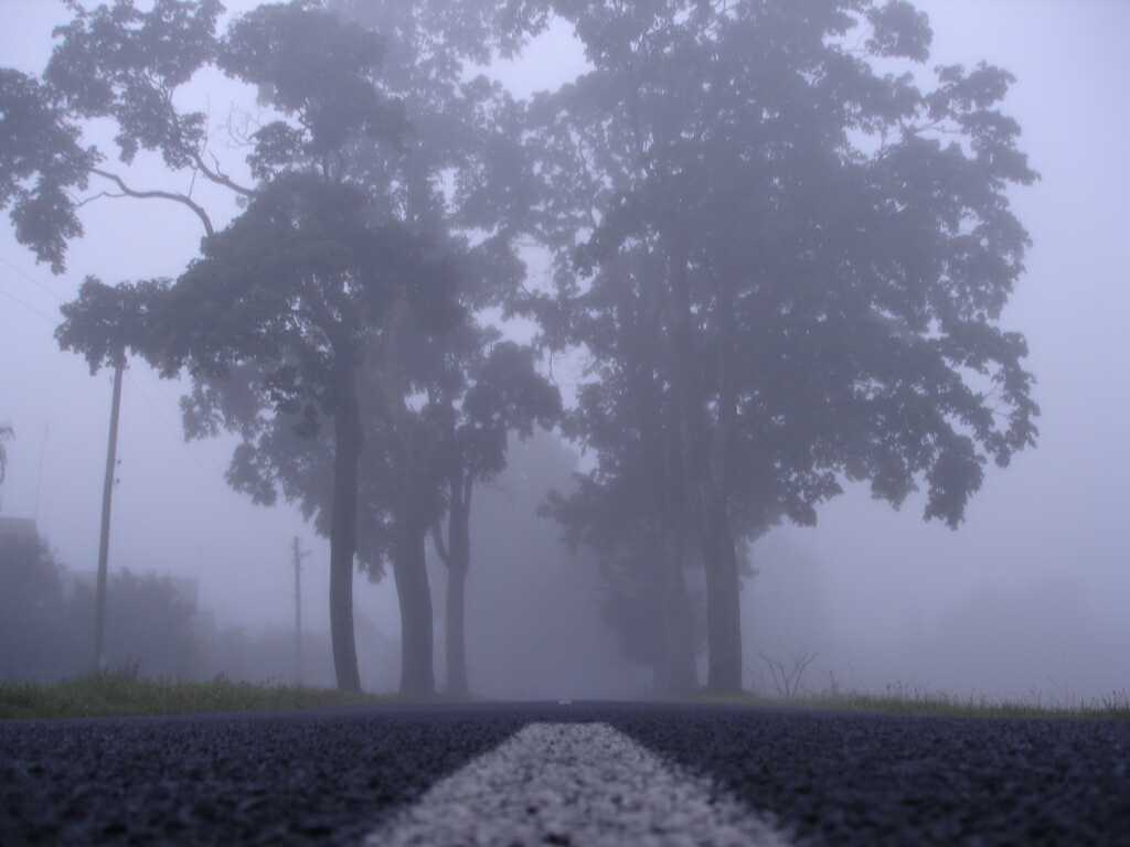 An empty foggy road