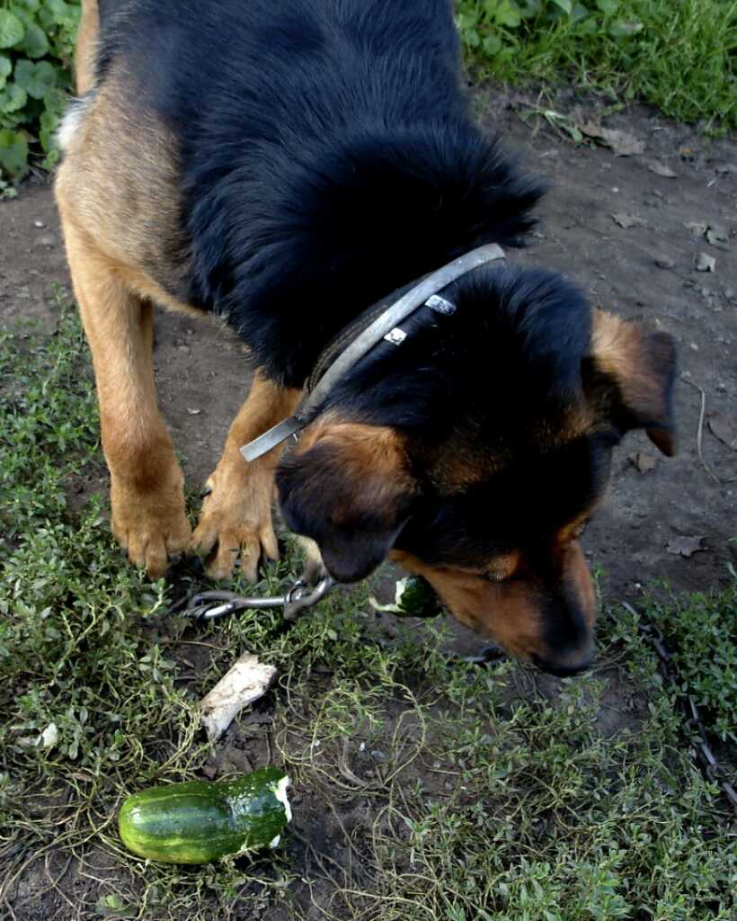 Yum!