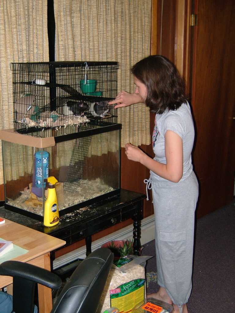 Some rats with me