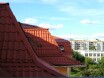 View out my window