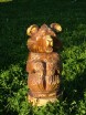 A violent bear